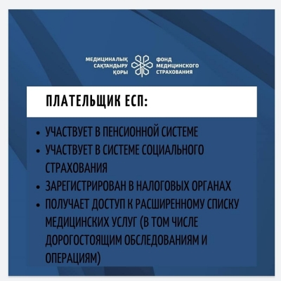 Плательщик ЕСП