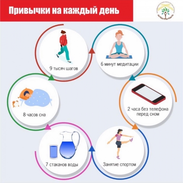 Привычки на каждый день